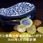 2016年1月のんちゃん家の家計簿まとめ