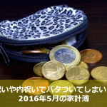 2016年5月のんちゃん家の家計簿まとめ