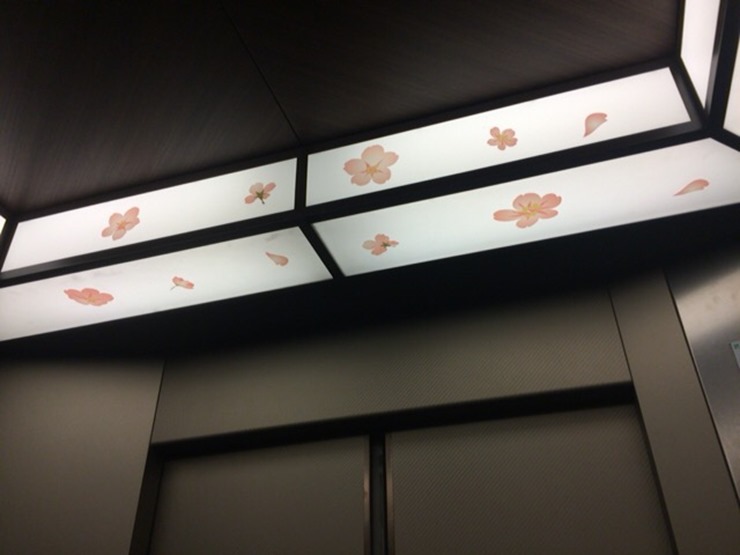 エレベーターにも花びらの装飾 ラビスタ函館ベイのエレベーター