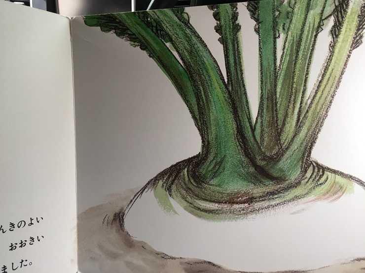 おじいさんがつくったおおきなかぶ おおきなかぶの植えているところ